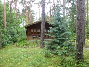 Blockhaus mit großem Garten mieten Dobbrikow