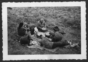 Picknick-dobbrikow