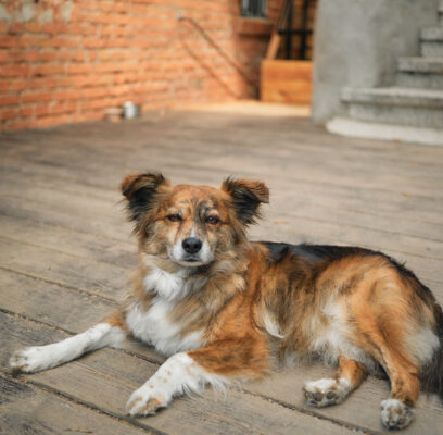 Unterkünfte im Umfeld